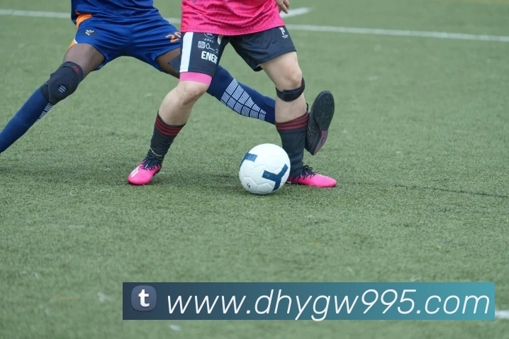 多媒体互动体验